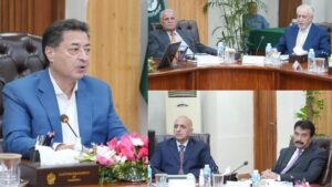 Punjab Agrees to Hold Local Government Elections Between Dec and Jan