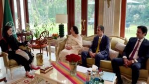 Maryam Nawaz and IPP MNAs Discuss Political Situation & Development