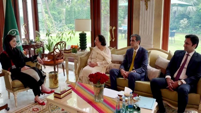 Maryam Nawaz and IPP MNAs Discuss Political Situation