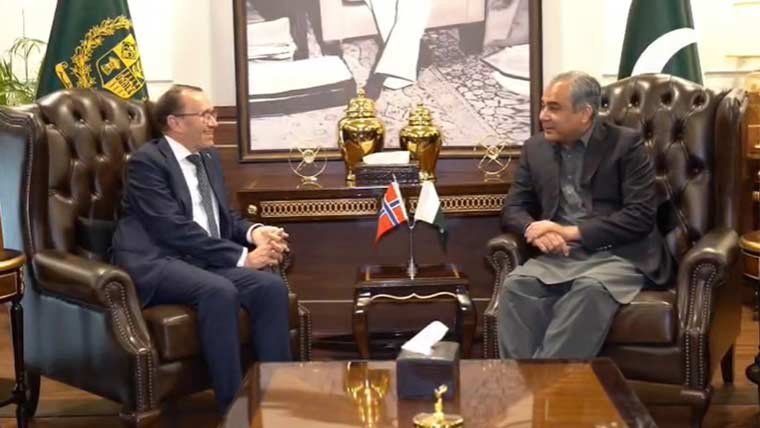 Mohsin Naqvi, Norway FM Discuss Anti-Terrorism and Curbing Illegal Immigration