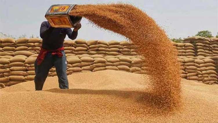 Pakistan Reaffirms Decision to Import Wheat