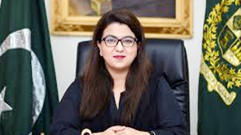Government Aims to Boost Pakistan’s IT Exports to $50 Billion,