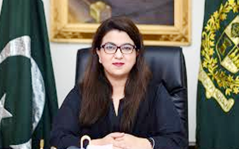 Government Aims to Boost Pakistan’s IT Exports to $50 Billion,