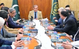 Federal Cabinet Approves Regional Representative and Development Council for 12 Districts of Khyber Pakhtunkhwa; Notification Issued for 48 Members