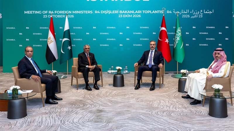 Deputy Prime Minister Ishaq Dar Participates in R-4 and E-4 Ministerial Meetings in Istanbul