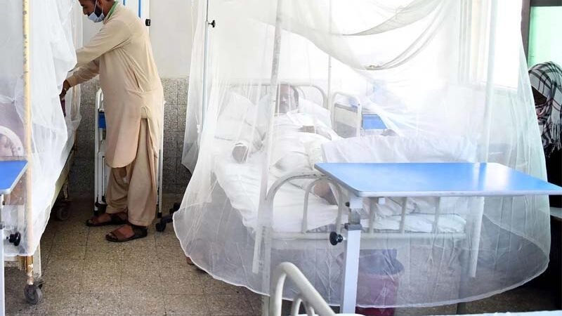 Dengue Larvae Recovered From Lahore Railway Workshop