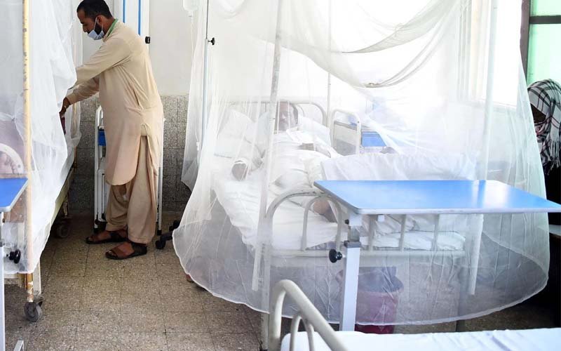 Dengue Larvae Recovered From Lahore Railway Workshop